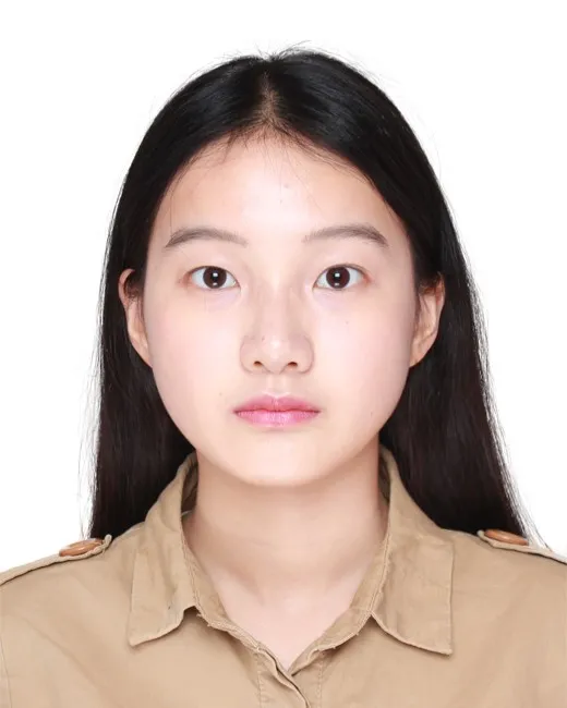 Fangyi DING